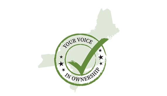 Young, Beginning, Small, Veteran Board Advisor