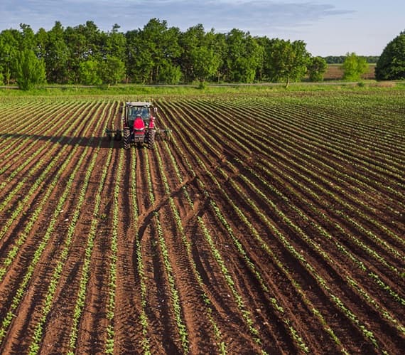 Tractor working in a crop field