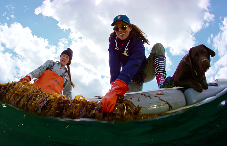 Colleen Francke, Summit Point Seafood Founder